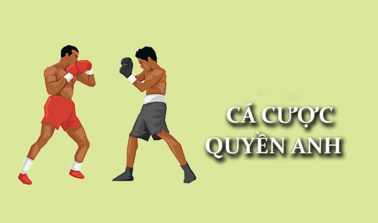 cá cược quyền anh