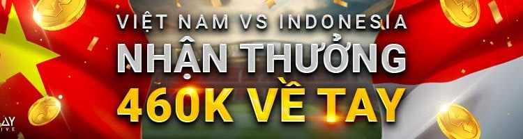 Việt Nam vs Indonesia